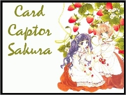 napisy, truskawka, Cardcaptor Sakura, dziewczyny